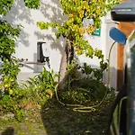 Gut Pecketsberg 公寓