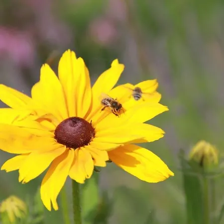 Apartament Gut Pecketsberg Oepping